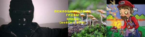 2c-b Куйбышев
