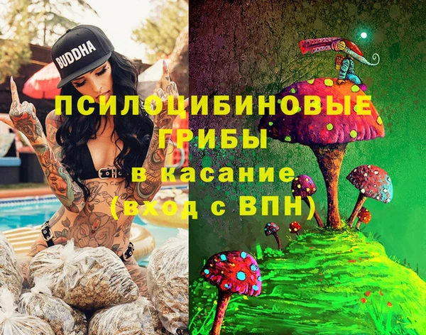 spice Кукмор