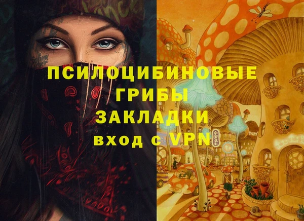 2c-b Куйбышев
