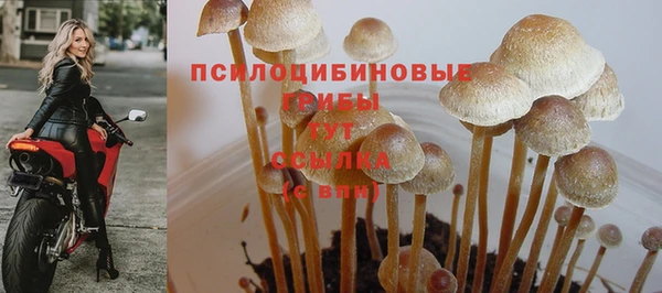 гашишное масло Краснотурьинск