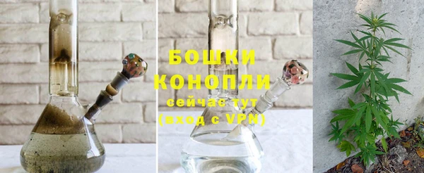 ГАЛЛЮЦИНОГЕННЫЕ ГРИБЫ Кулебаки