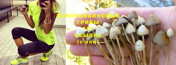 ГАЛЛЮЦИНОГЕННЫЕ ГРИБЫ Кулебаки