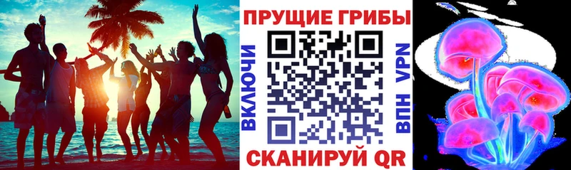 Галлюциногенные грибы мухоморы Мамадыш